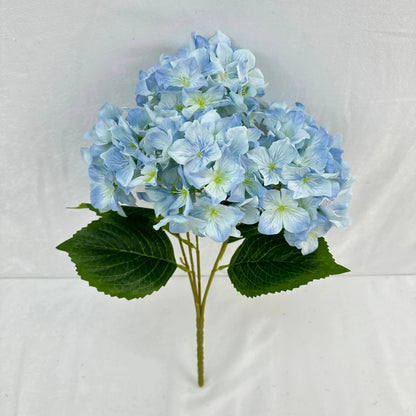 Blue Silk Lady Rose Hydrangea Bush - 5 Heads RosesHQ.com