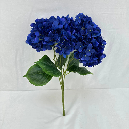Hydrangeas