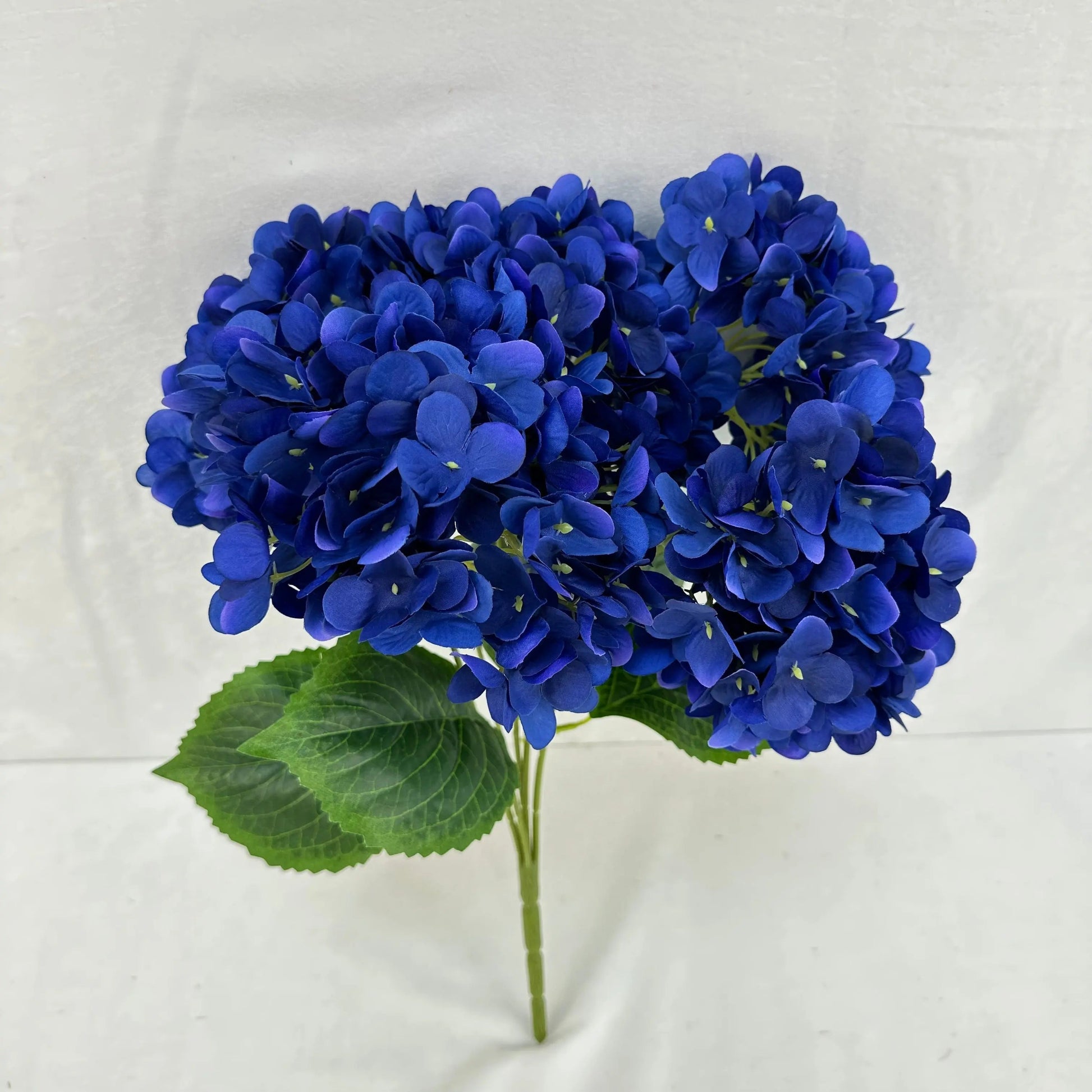Blue Silk Pomegranate Hydrangea Bush - 5 Heads RosesHQ.com