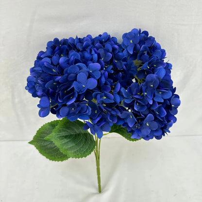 Blue Silk Pomegranate Hydrangea Bush - 5 Heads RosesHQ.com