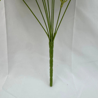 Lavender Silk Fruit Rose Bush - 9 Heads RosesHQ.com