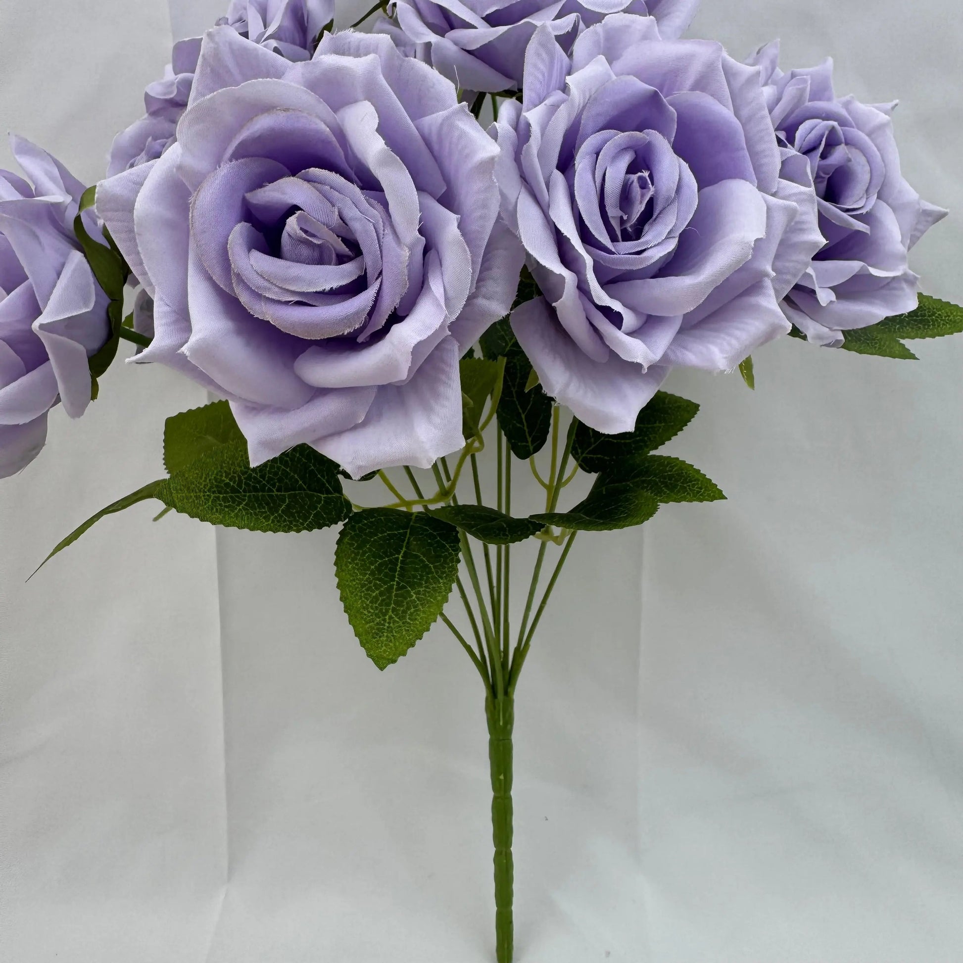 Lavender Silk Fruit Rose Bush - 9 Heads RosesHQ.com