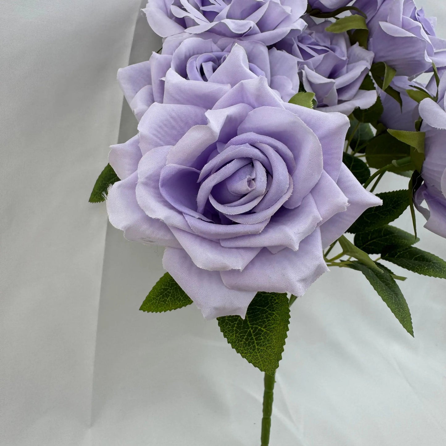 Lavender Silk Fruit Rose Bush - 9 Heads RosesHQ.com