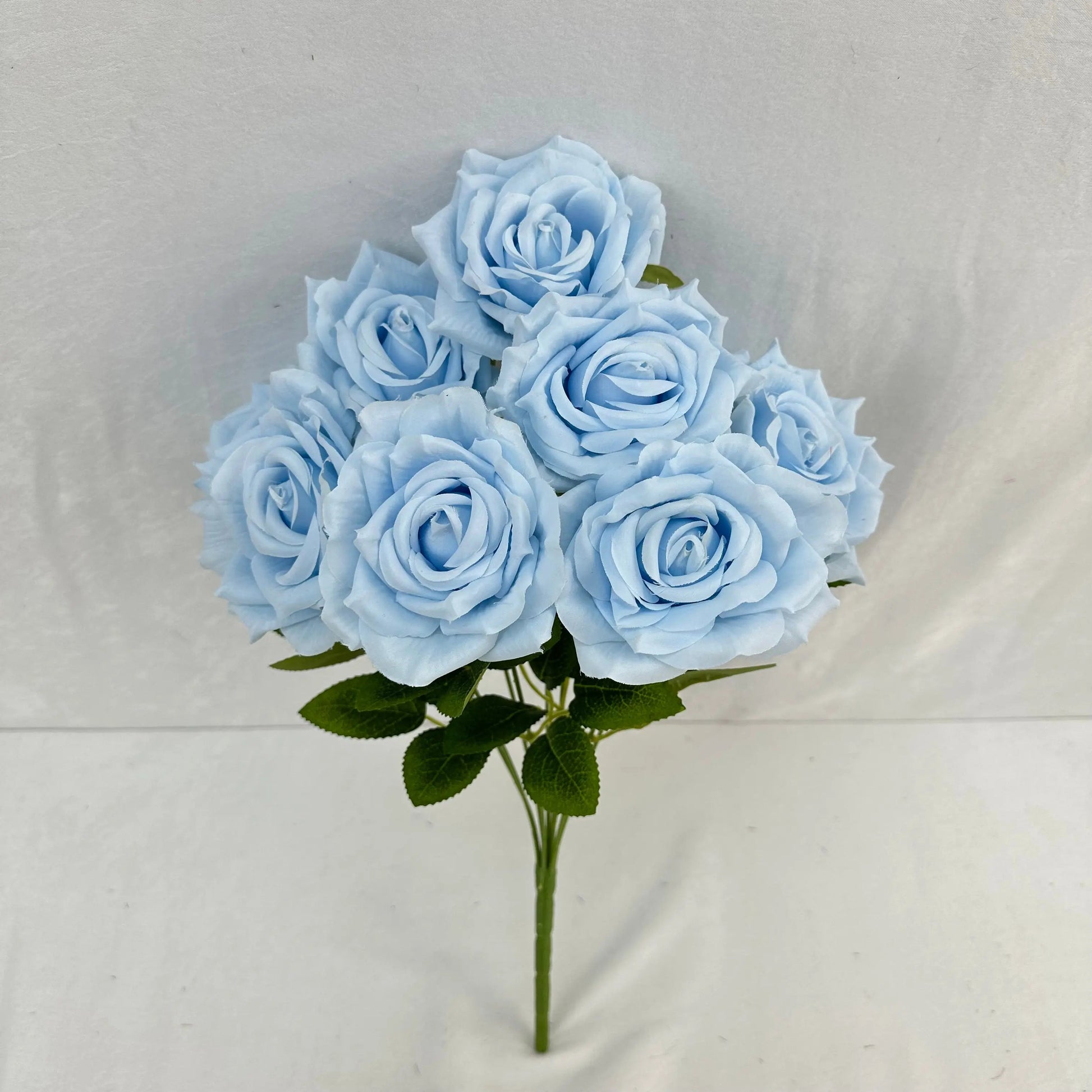 Blue Silk Fruit Rose Bush - 9 Heads RosesHQ.com