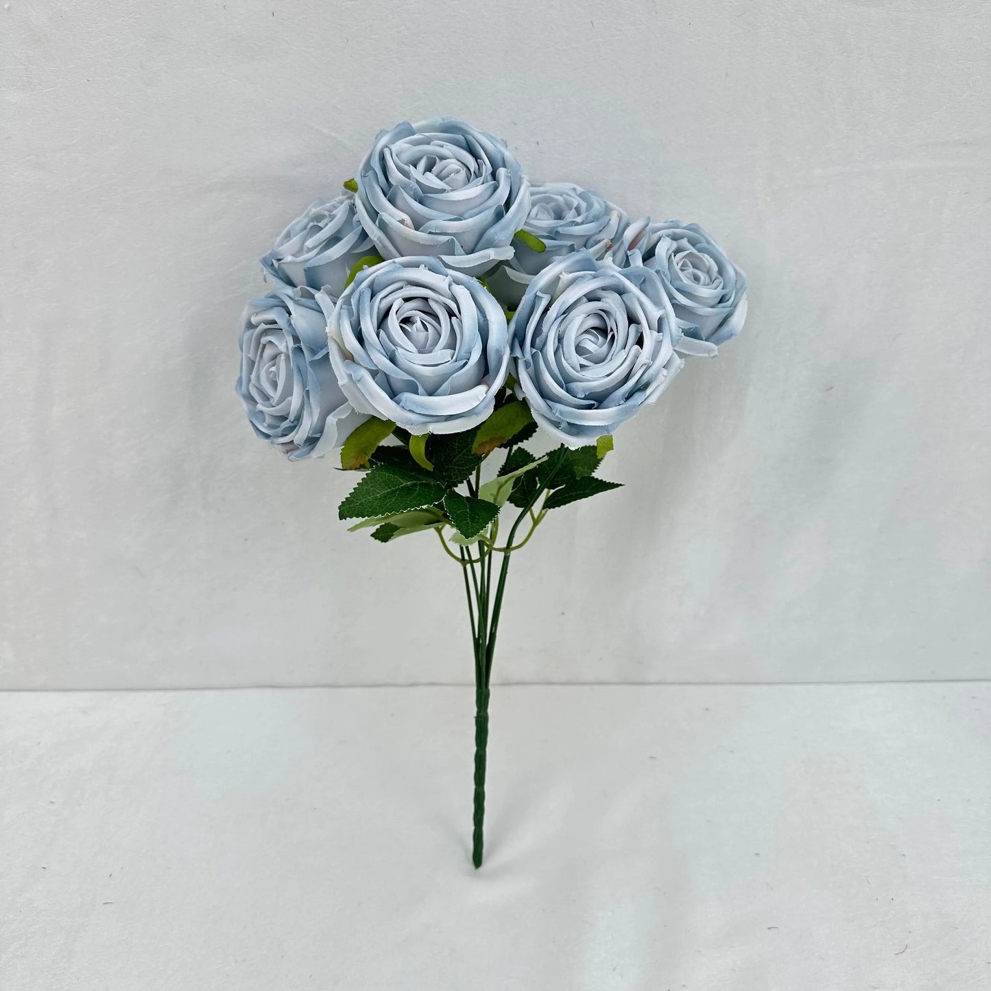 Blue Silk Empress Rose Bush - 7 Heads RosesHQ.com