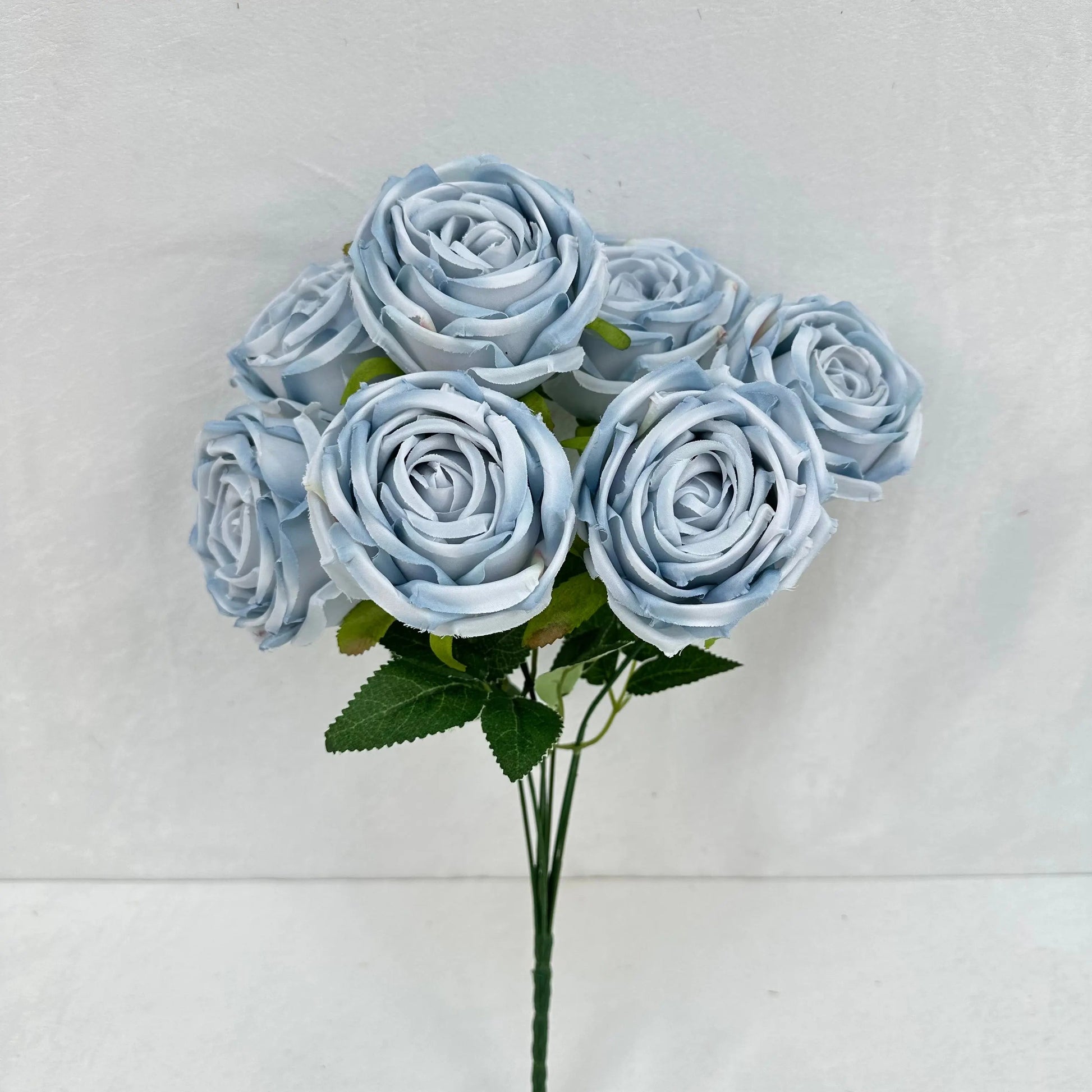 Blue Silk Empress Rose Bush - 7 Heads RosesHQ.com