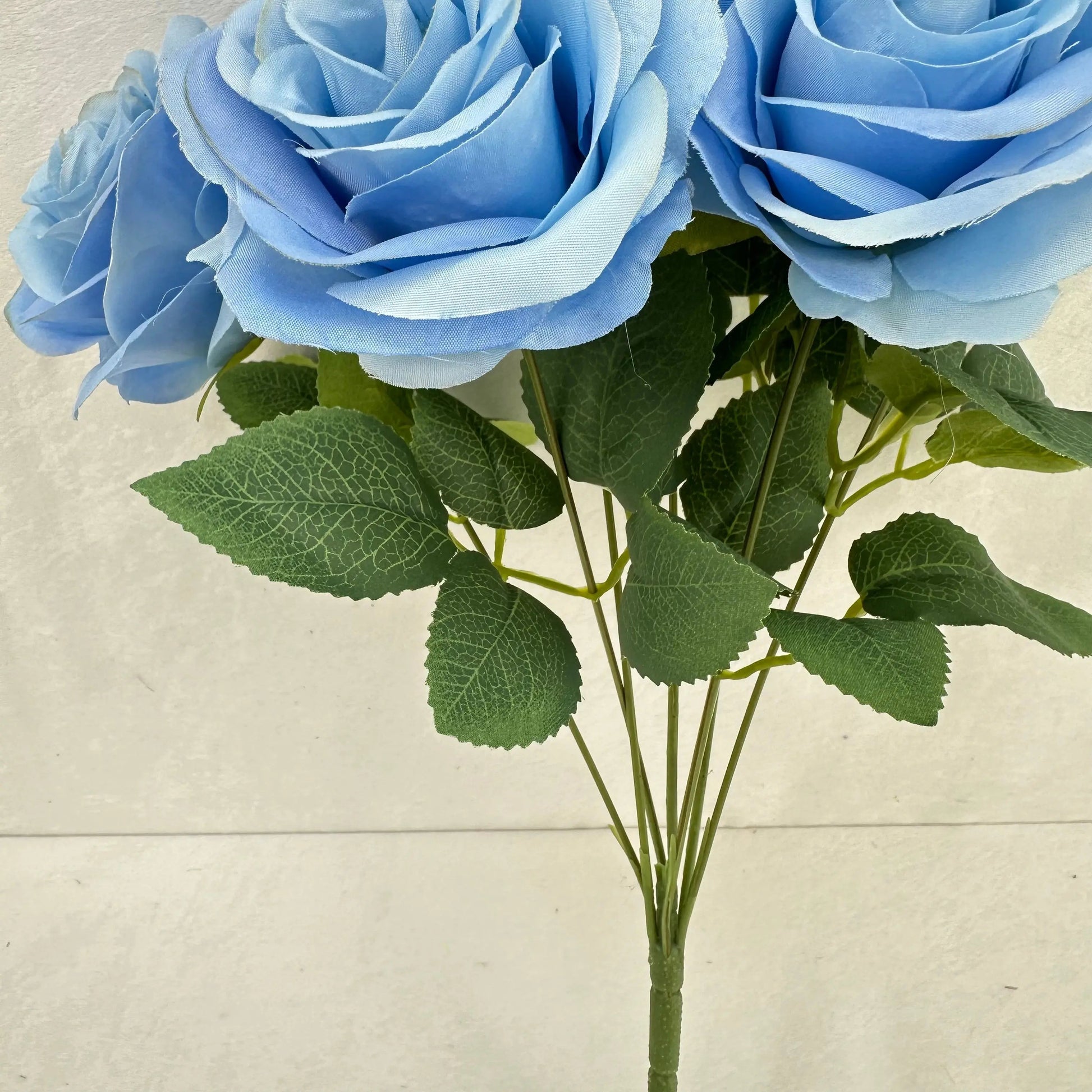 Blue Silk Happiness Rose Bush - 7 Heads RosesHQ.com
