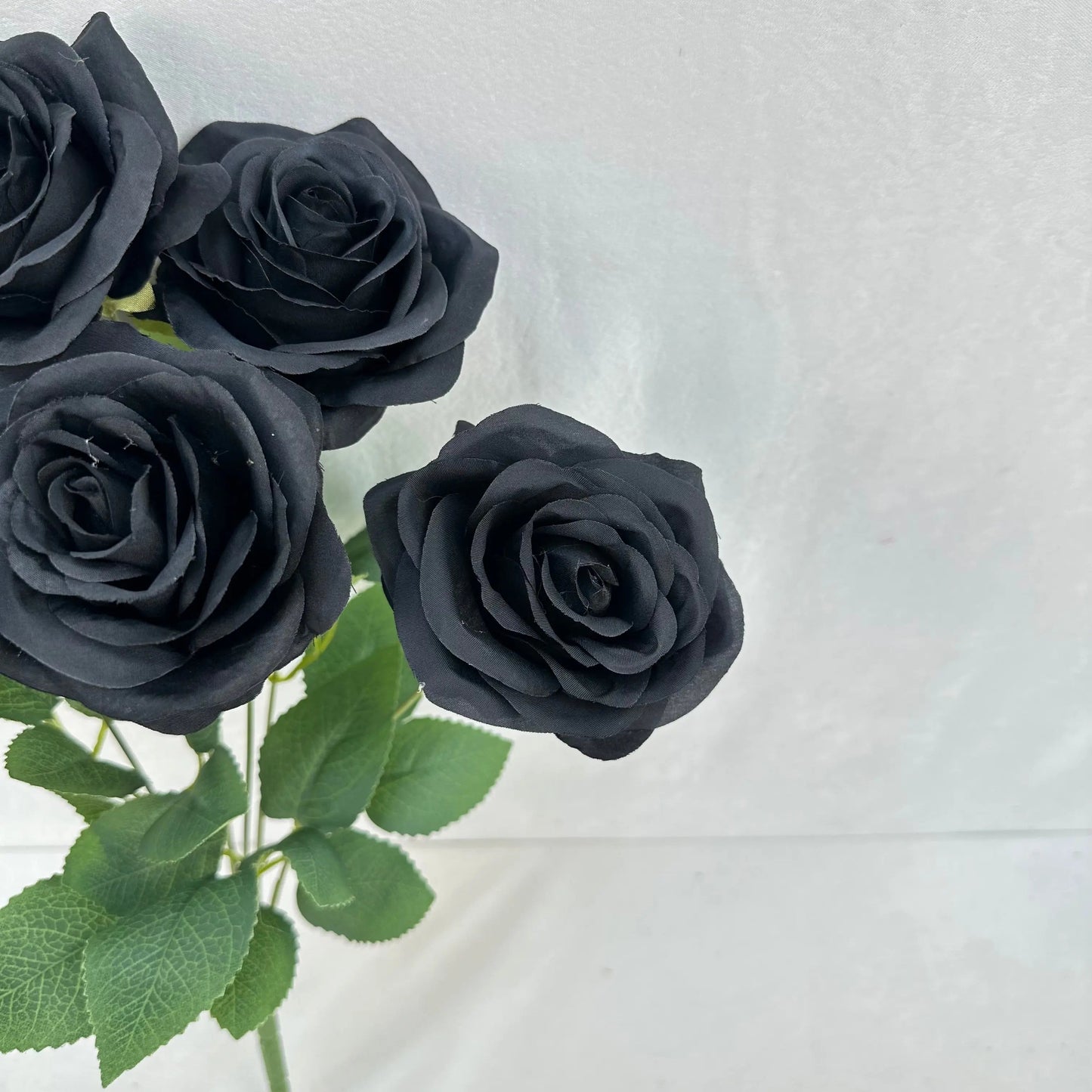 Black Silk Happiness Rose Bush - 7 Heads RosesHQ.com