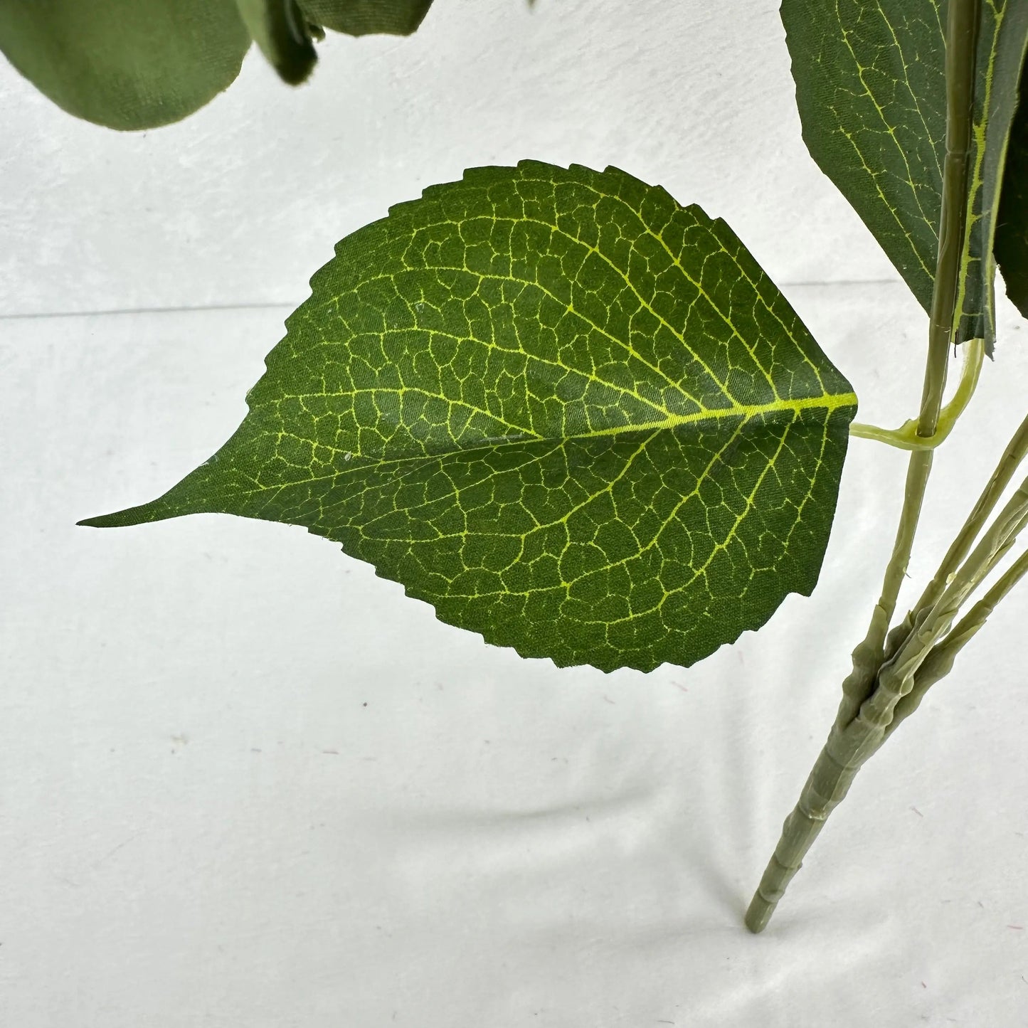 Green Silk French Hydrangea Bush - 5 Heads RosesHQ.com