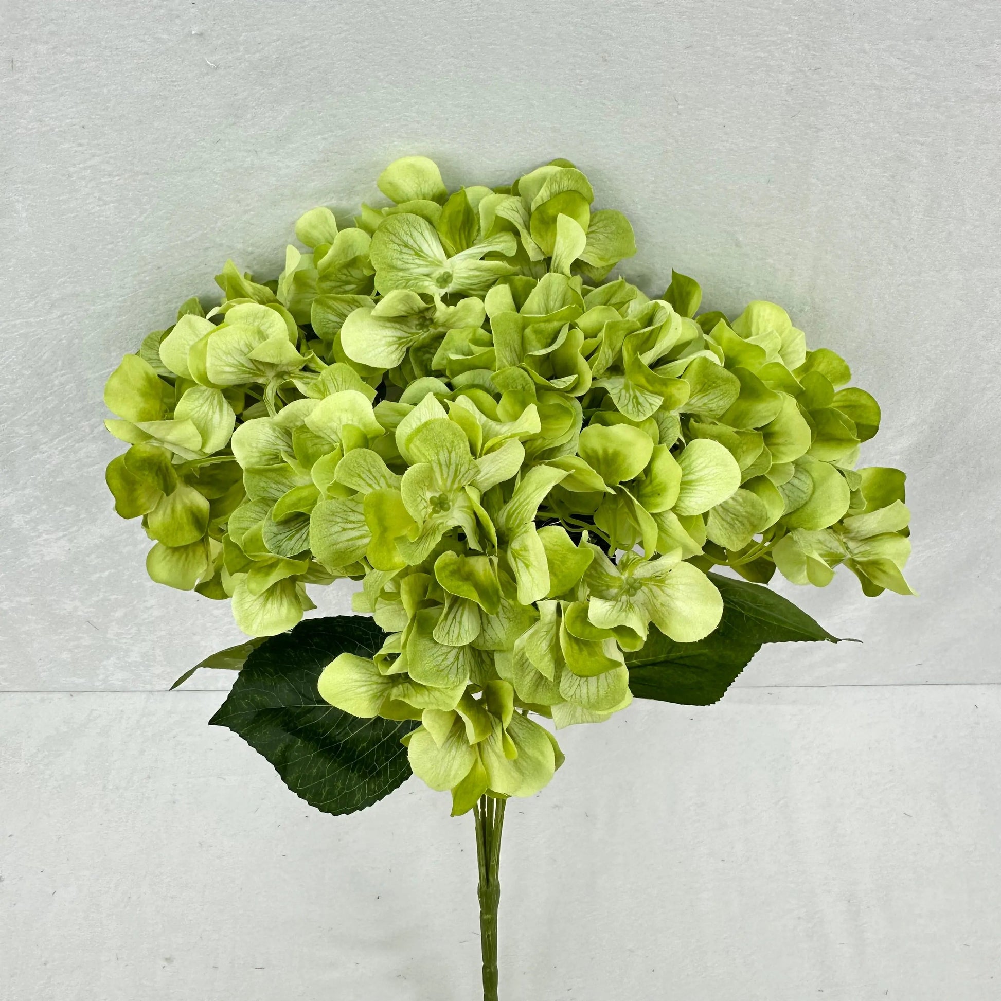 Green Silk 3D Hydrangea Bush - 5 Heads RosesHQ.com