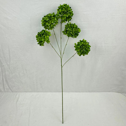 Green Silk Candy Hydrangea Bush - 5 Heads RosesHQ.com