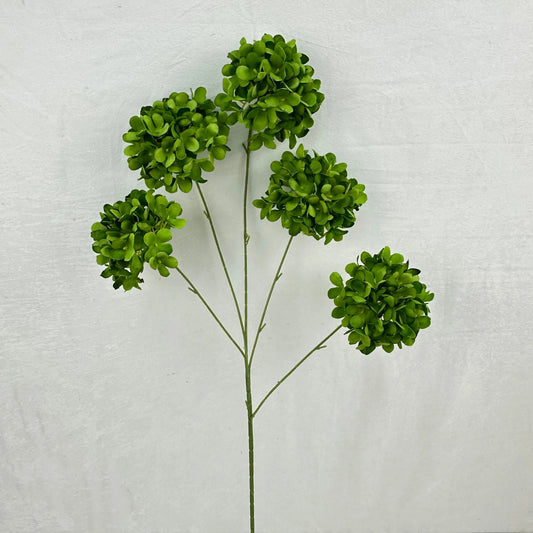 Green Silk Candy Hydrangea Bush - 5 Heads RosesHQ.com