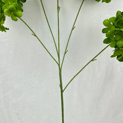 Green Silk Candy Hydrangea Bush - 5 Heads RosesHQ.com