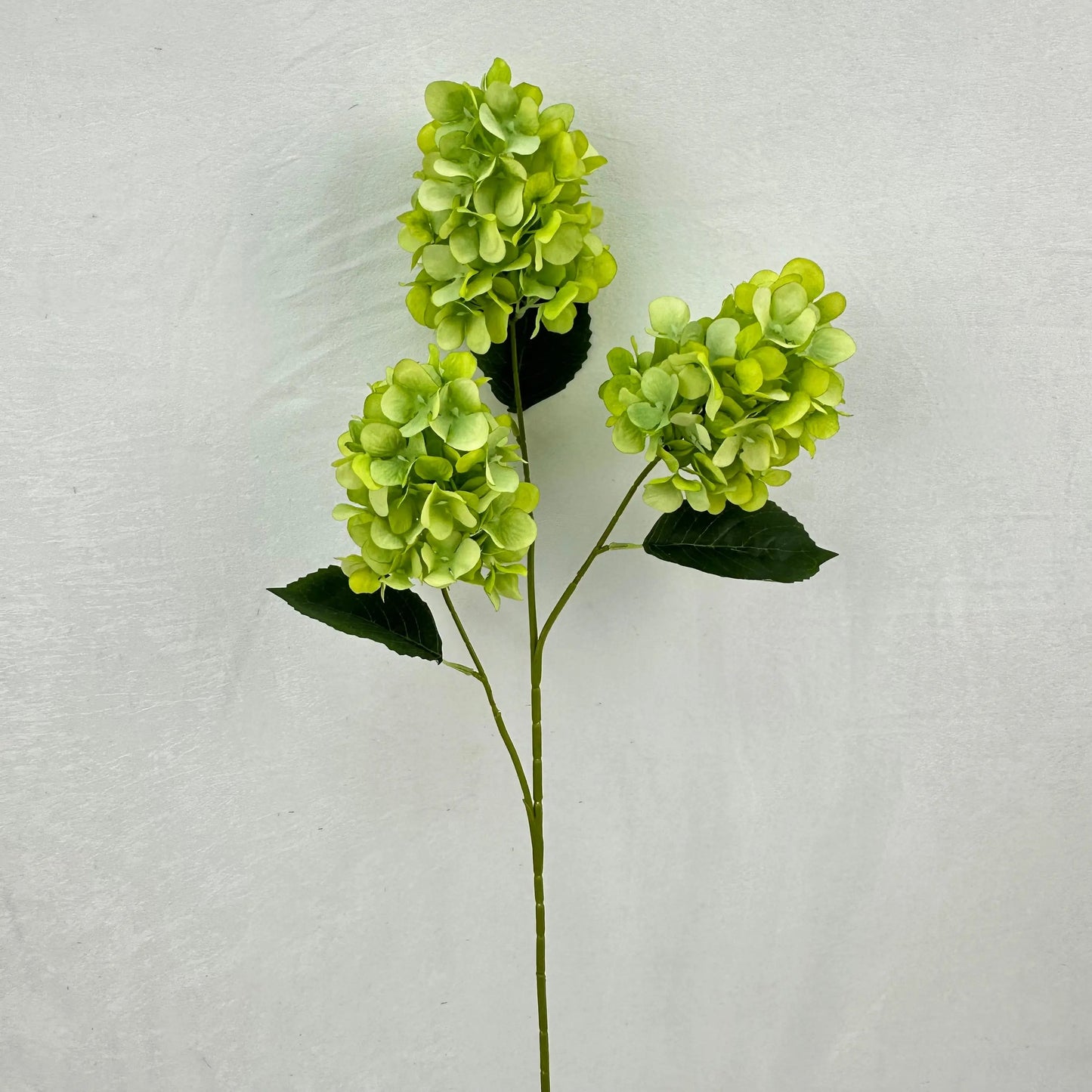 Green Silk Pagoda Hydrangea Spray - 3 Heads RosesHQ.com