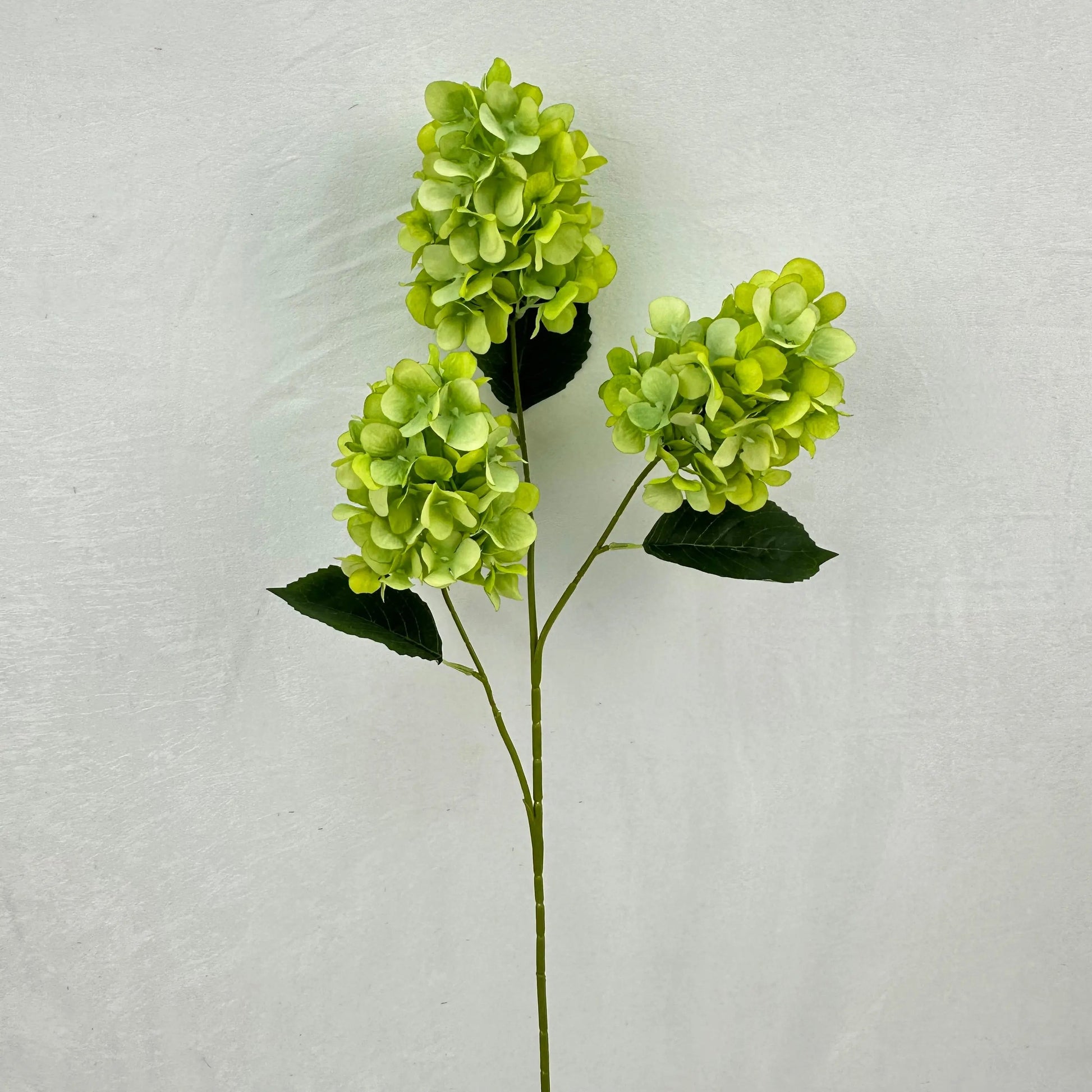Green Silk Pagoda Hydrangea Spray - 3 Heads RosesHQ.com