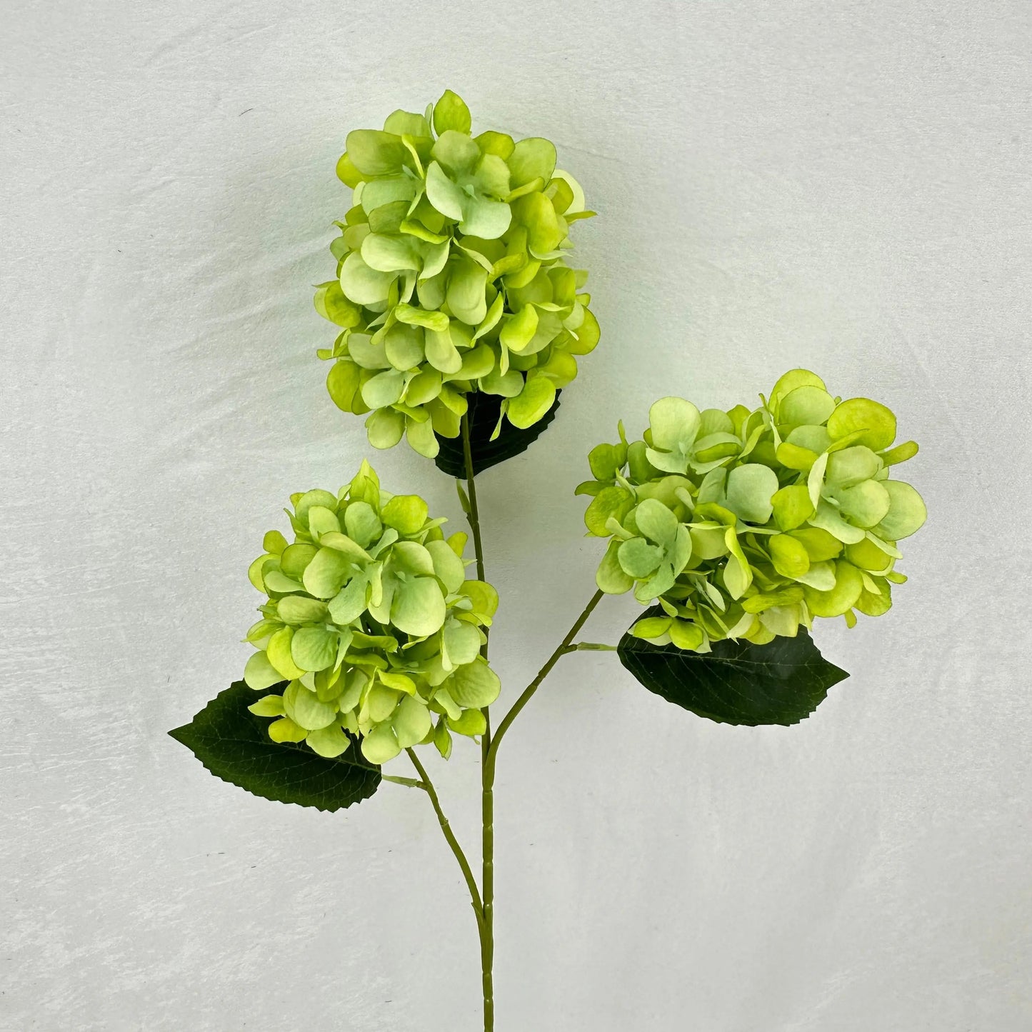 Green Silk Pagoda Hydrangea Spray - 3 Heads RosesHQ.com