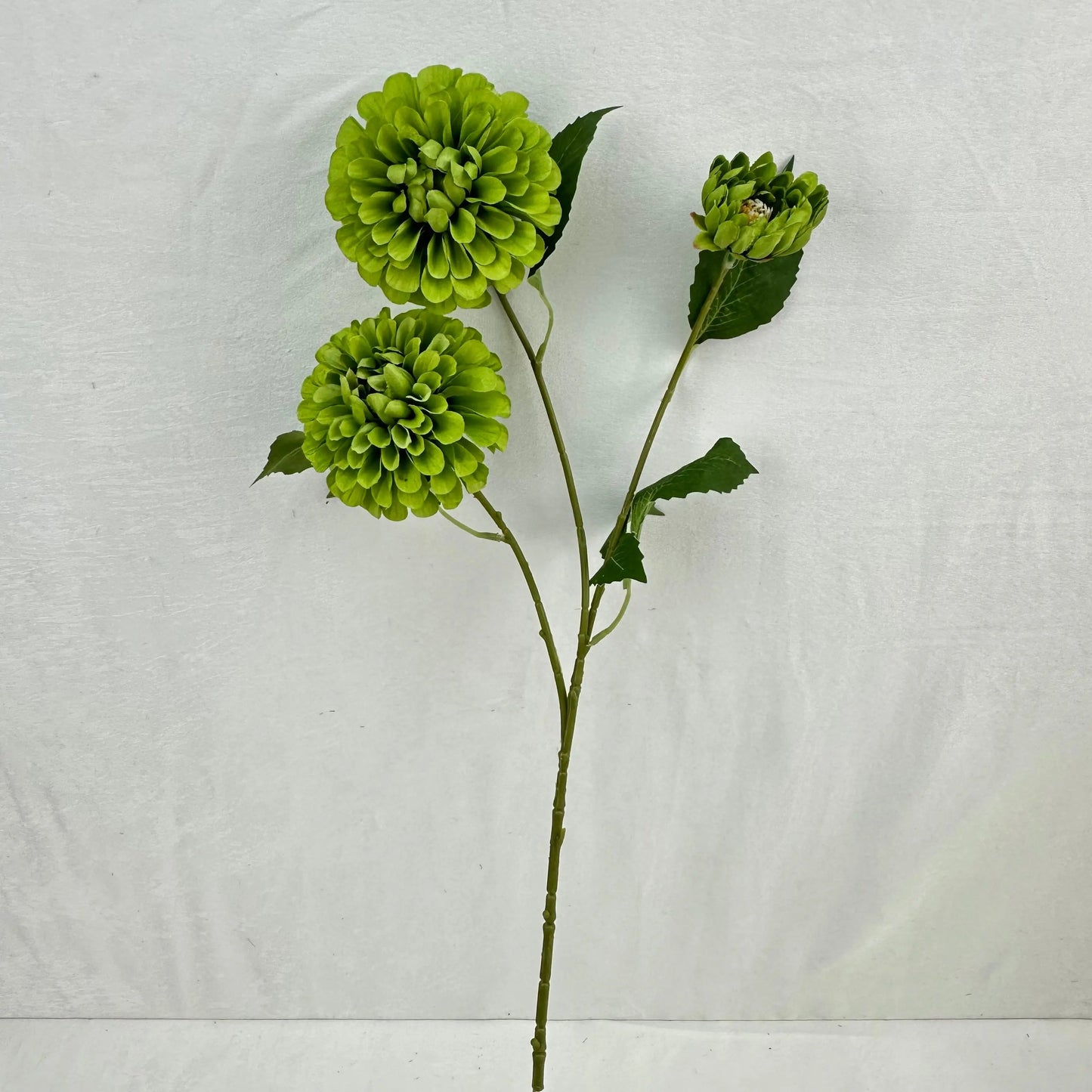 Green Silk French Dahlia Spray - 3 Heads RosesHQ.com