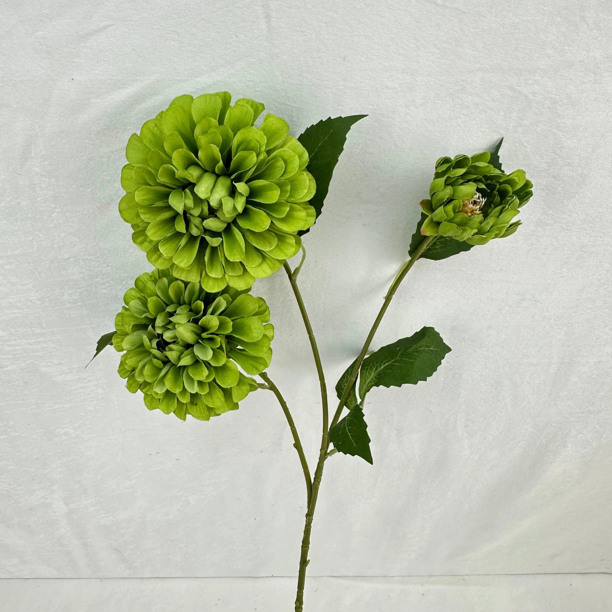 Green Silk French Dahlia Spray - 3 Heads RosesHQ.com