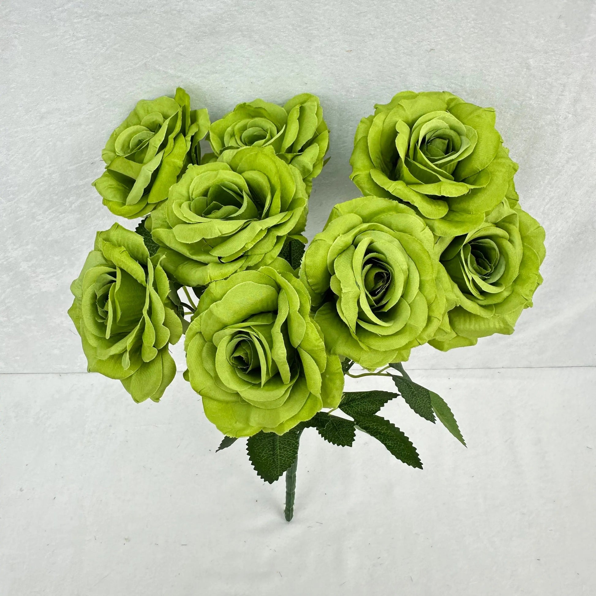 Green Silk Diamond Rose Bush - 9 Heads RosesHQ.com
