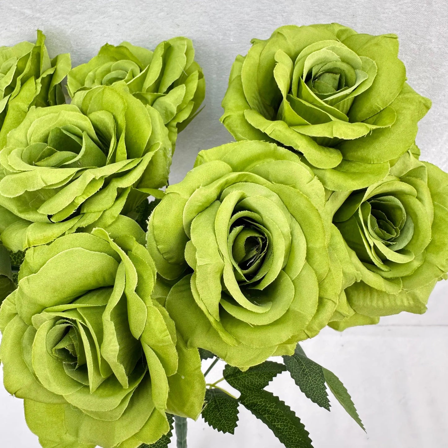 Green Silk Diamond Rose Bush - 9 Heads RosesHQ.com
