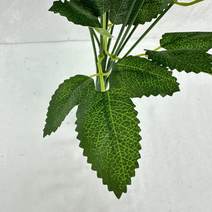 Green Silk Diamond Rose Bush - 9 Heads RosesHQ.com