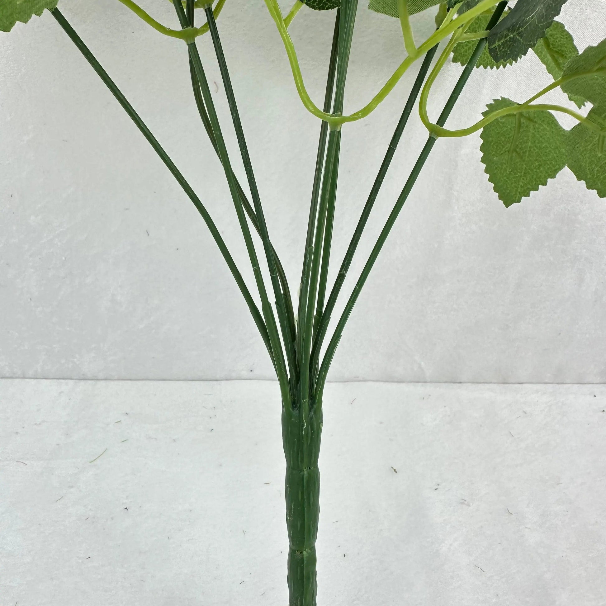 Green Silk Diamond Rose Bush - 9 Heads RosesHQ.com