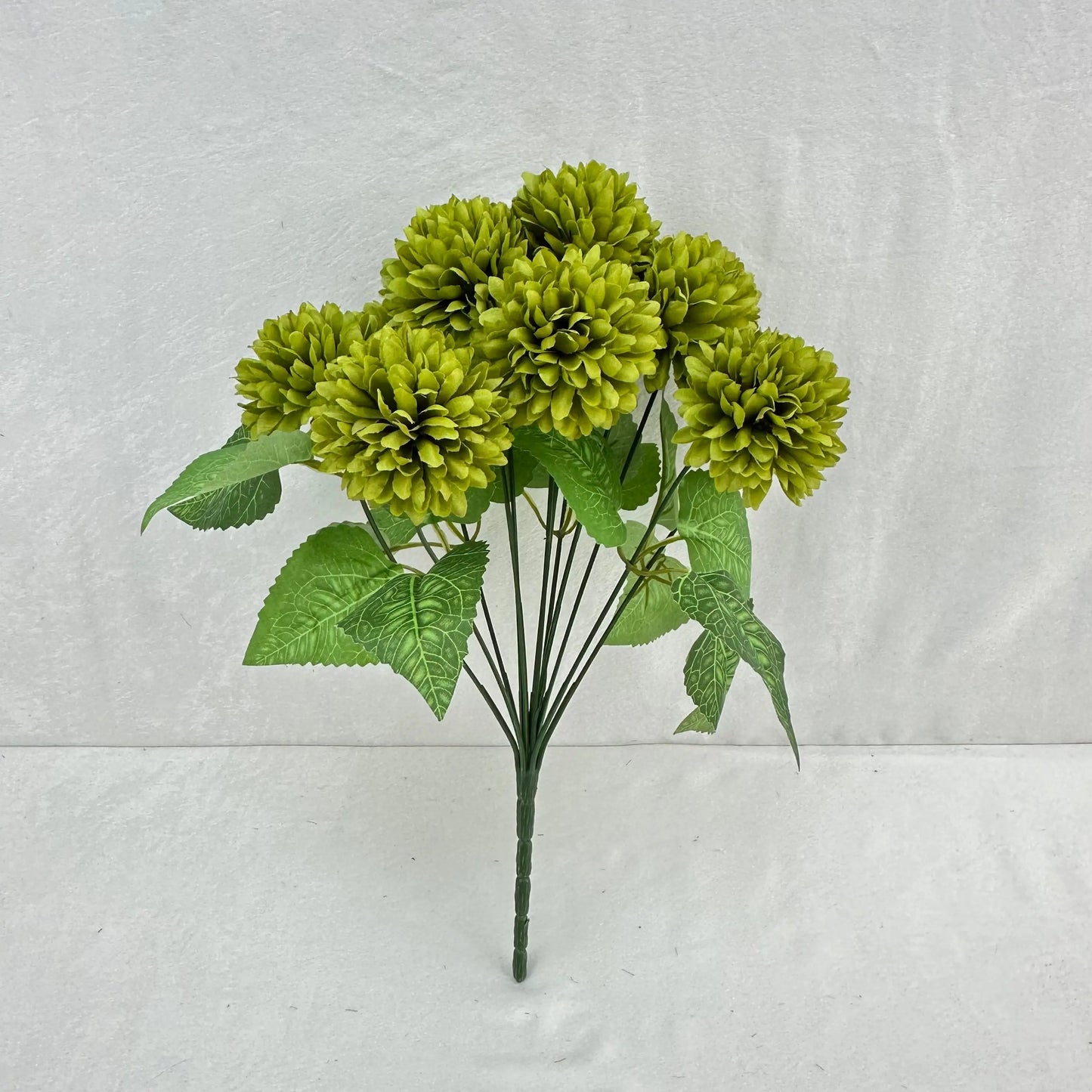 Green Silk Autumn Chrysanthemum Bush - 12 Heads RosesHQ.com
