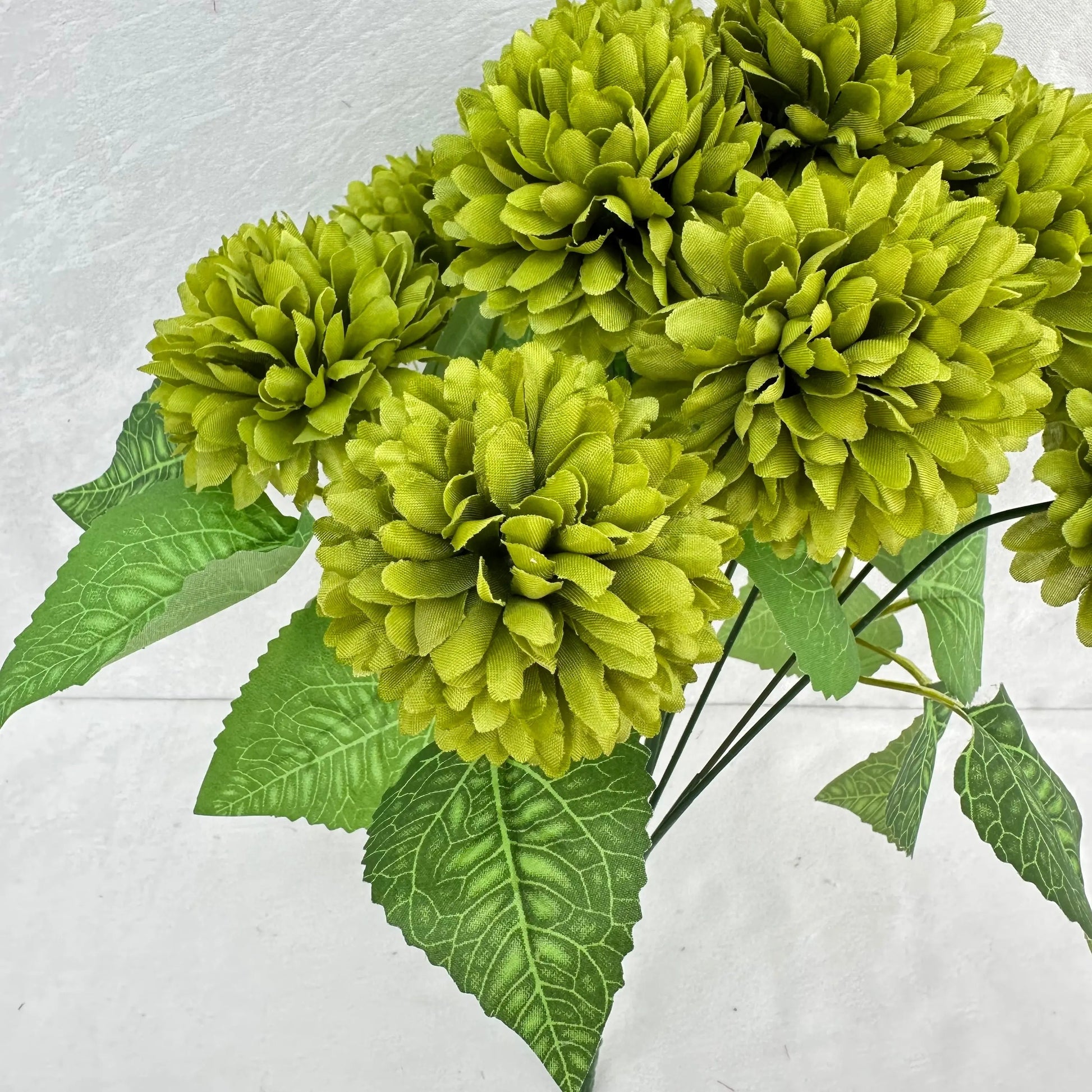 Green Silk Autumn Chrysanthemum Bush - 12 Heads RosesHQ.com