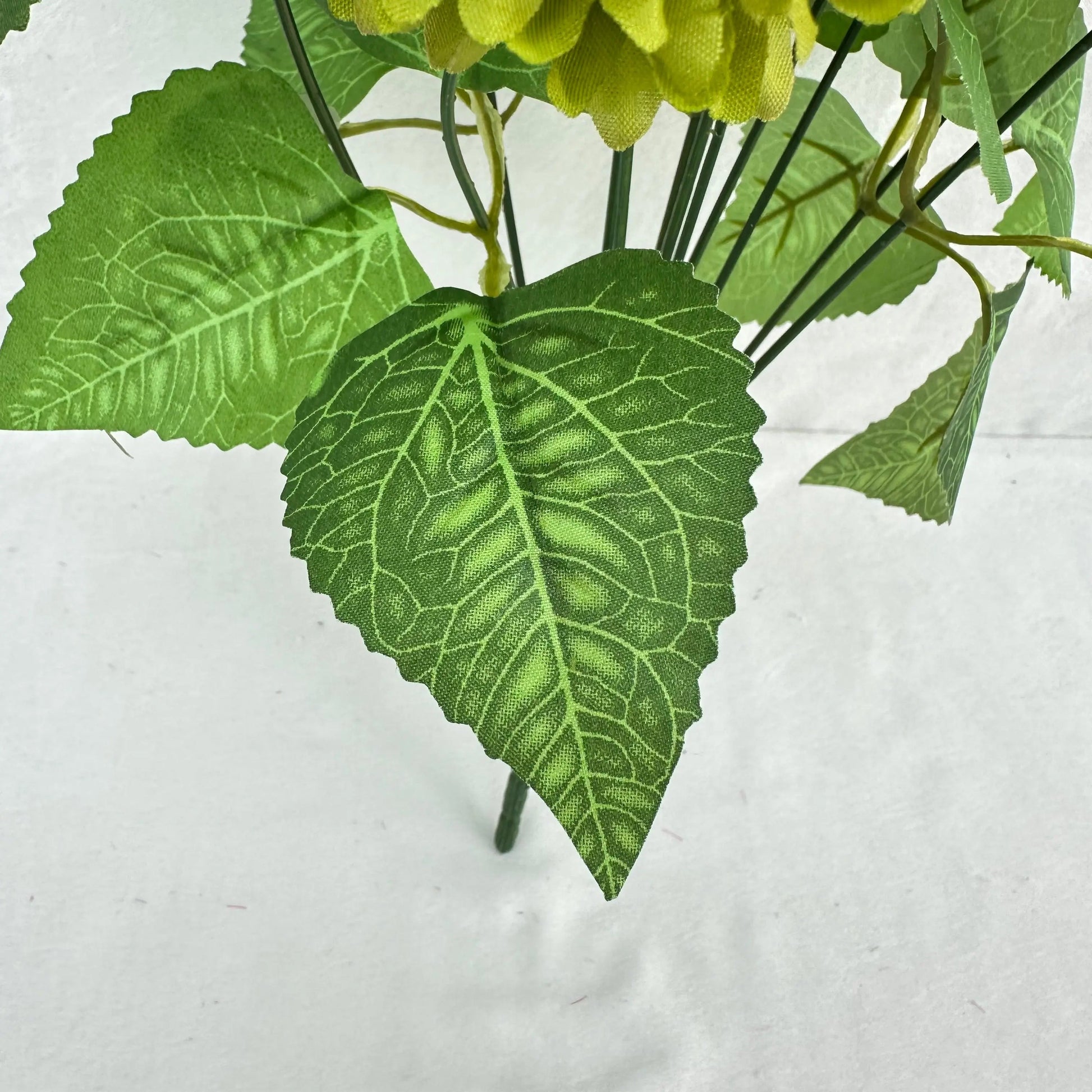 Green Silk Autumn Chrysanthemum Bush - 12 Heads RosesHQ.com
