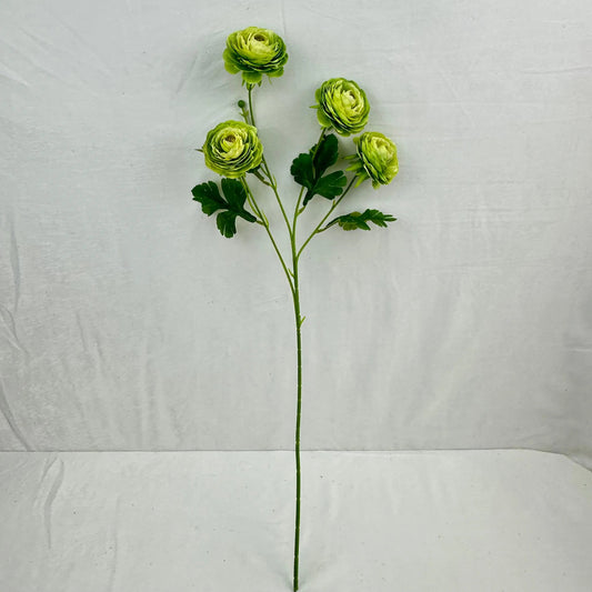 Green Silk Camellia Bush - 4 Heads RosesHQ.com