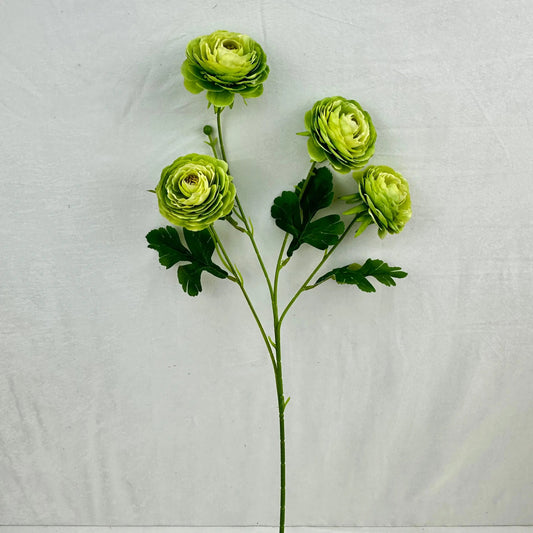 Green Silk Camellia Bush - 4 Heads RosesHQ.com