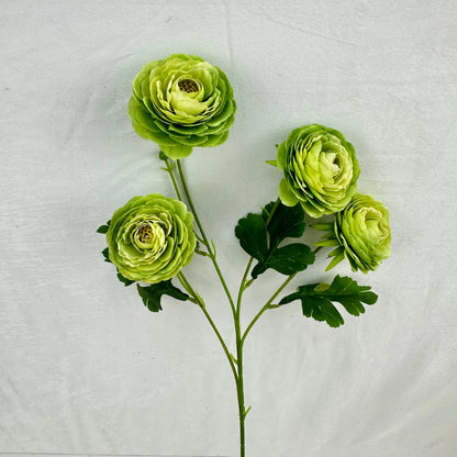Green Silk Camellia Bush - 4 Heads RosesHQ.com
