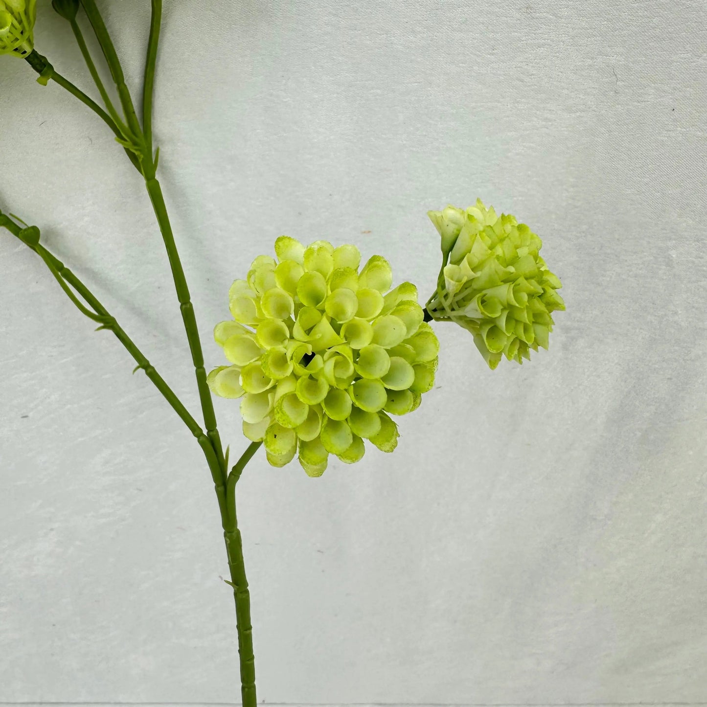 Green Small Honeycomb Spray - 10 Heads RosesHQ.com