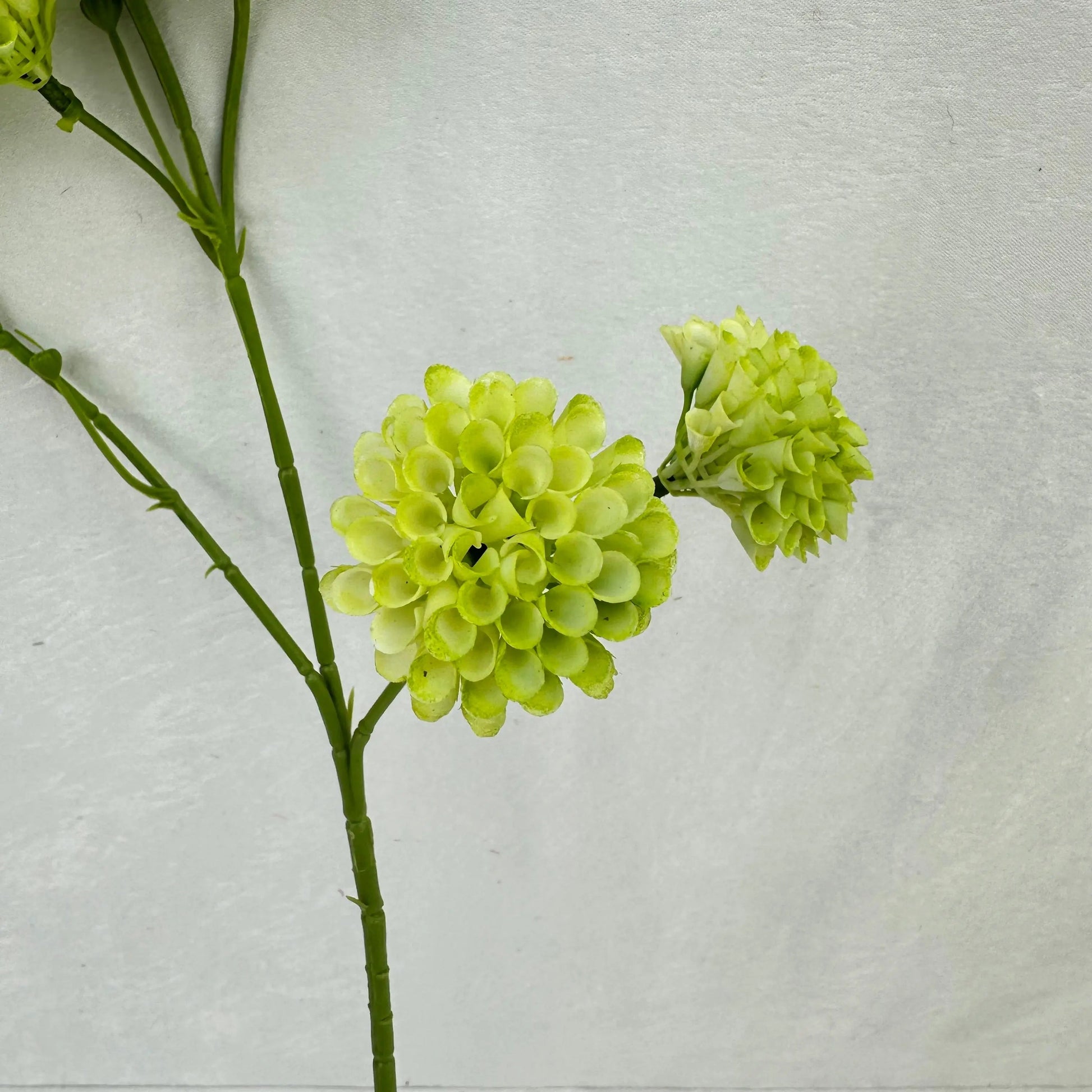 Green Small Honeycomb Spray - 10 Heads RosesHQ.com