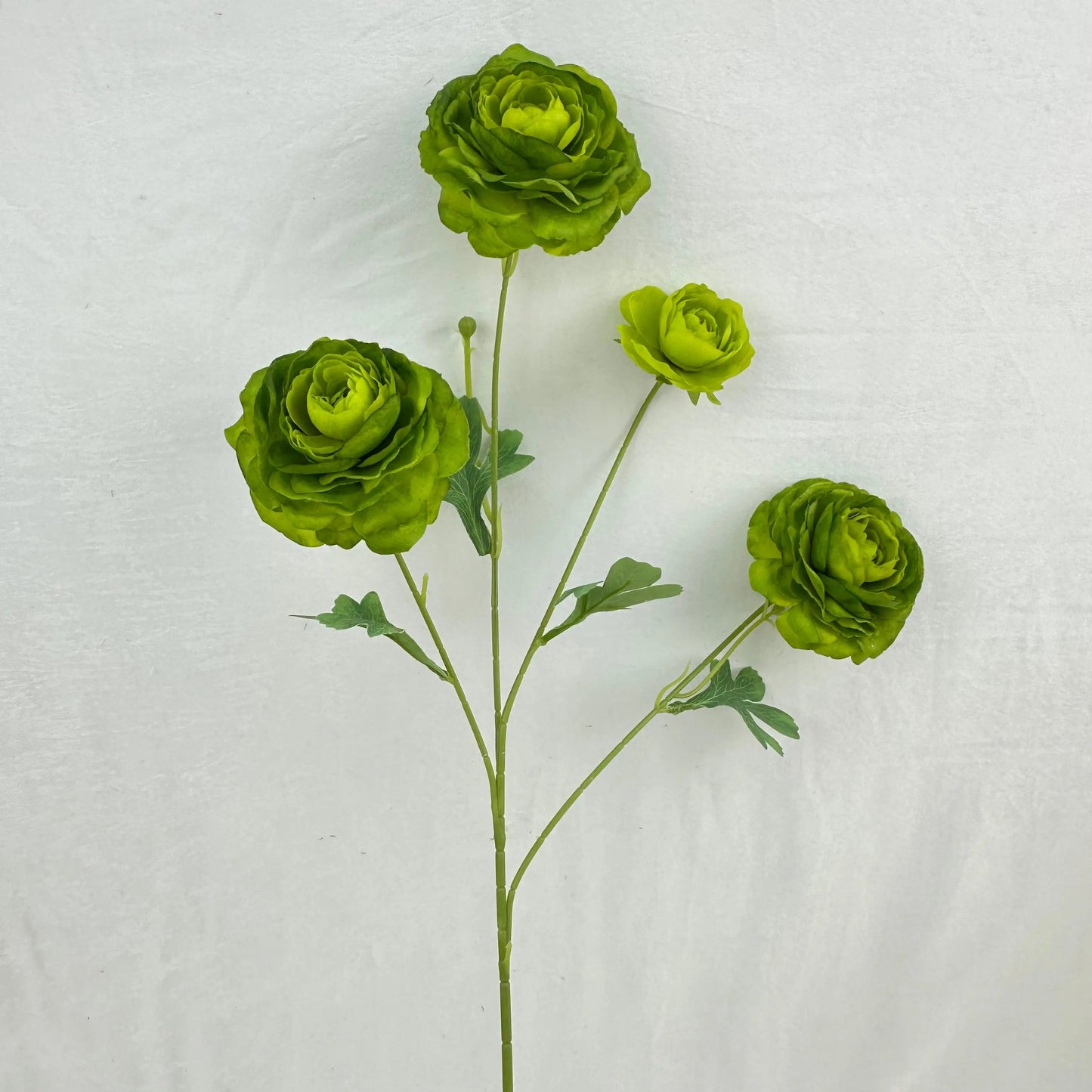 Green Silk Nerine Peony Bush - 4 Heads RosesHQ.com