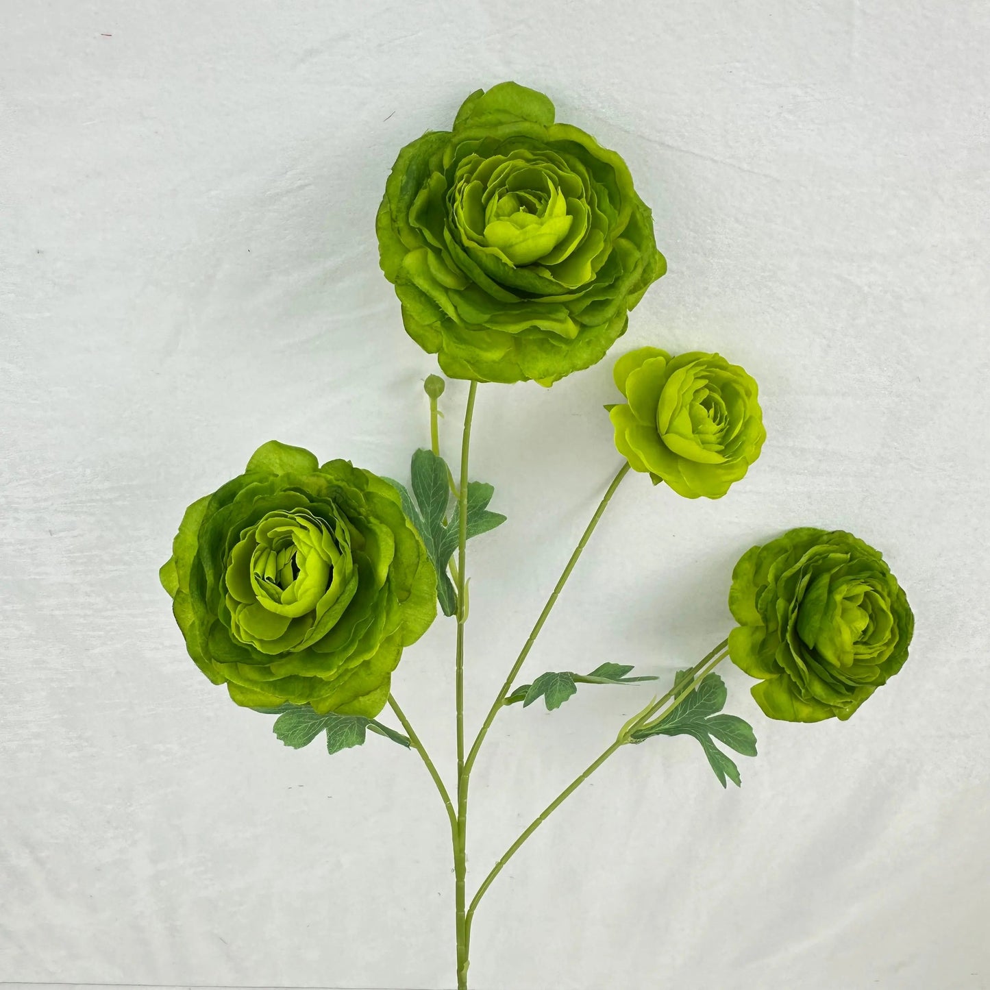 Green Silk Nerine Peony Bush - 4 Heads RosesHQ.com