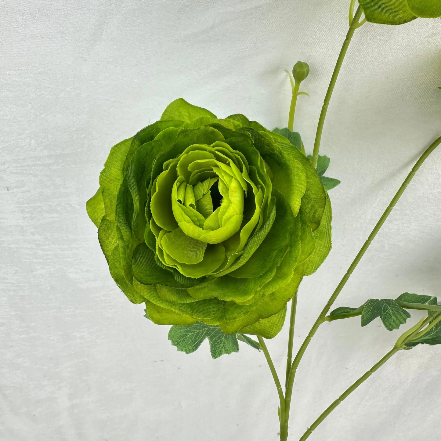 Green Silk Nerine Peony Bush - 4 Heads RosesHQ.com