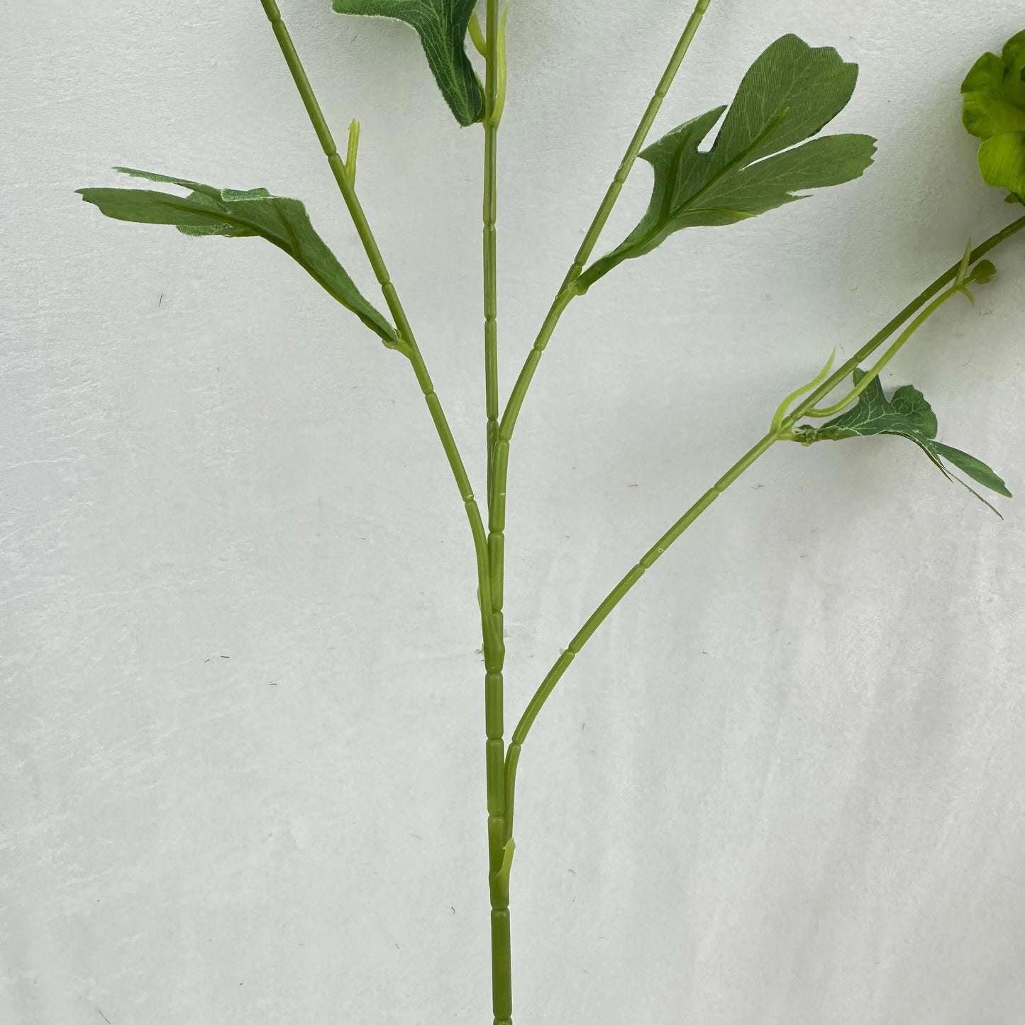 Green Silk Nerine Peony Bush - 4 Heads RosesHQ.com