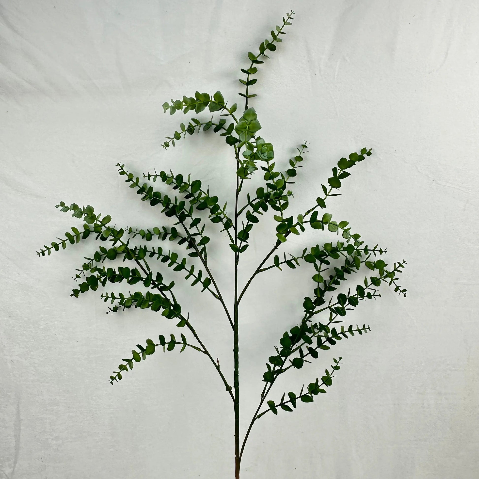Green Hanging Eucalyptus Branch RosesHQ.com