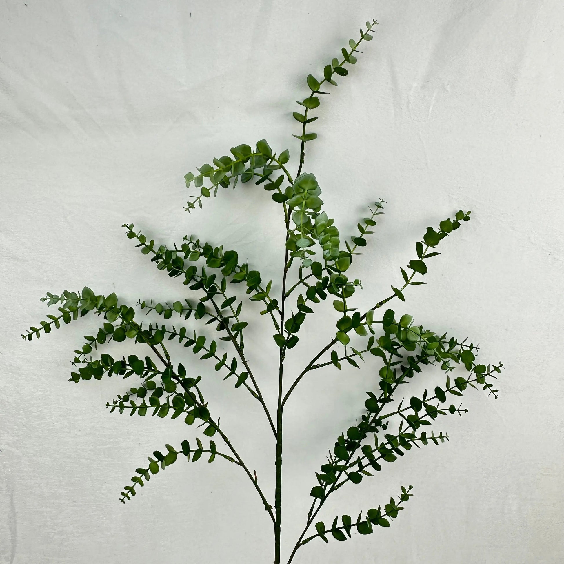 Green Hanging Eucalyptus Branch RosesHQ.com