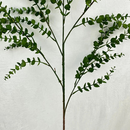 Green Hanging Eucalyptus Branch RosesHQ.com