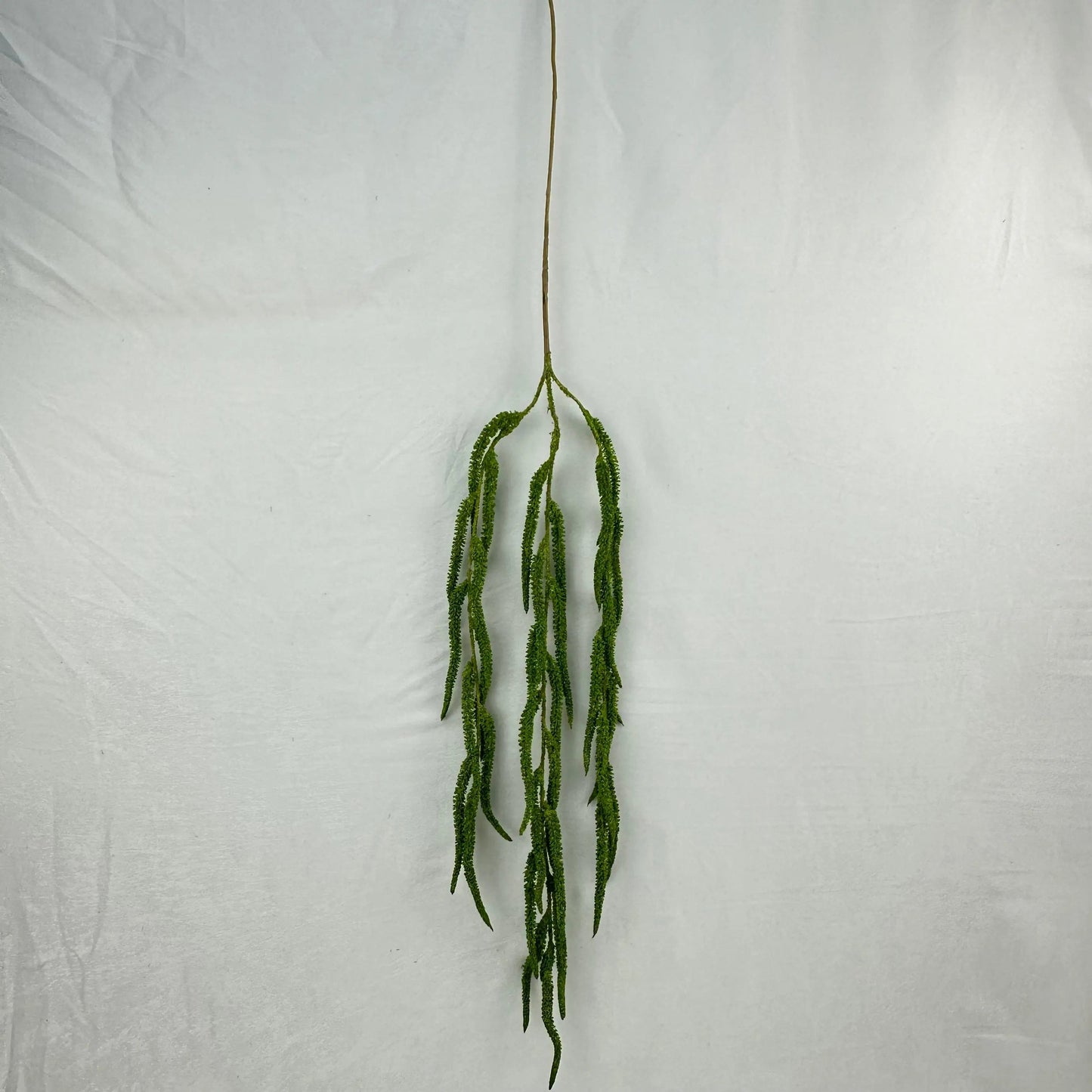 Green Silk Amaranthus Stem RosesHQ.com