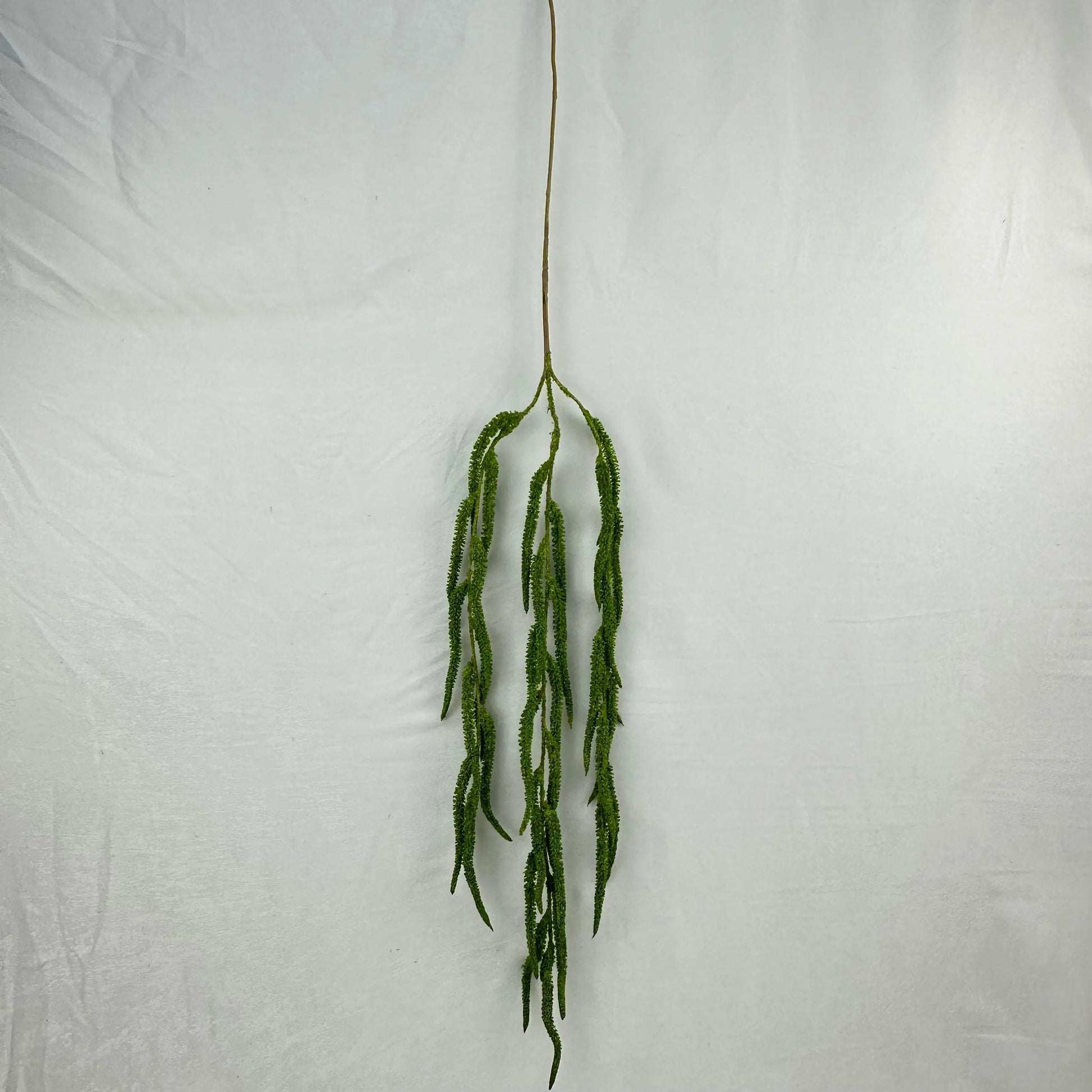 Green Silk Amaranthus Stem RosesHQ.com