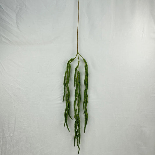 Green Silk Amaranthus Stem RosesHQ.com