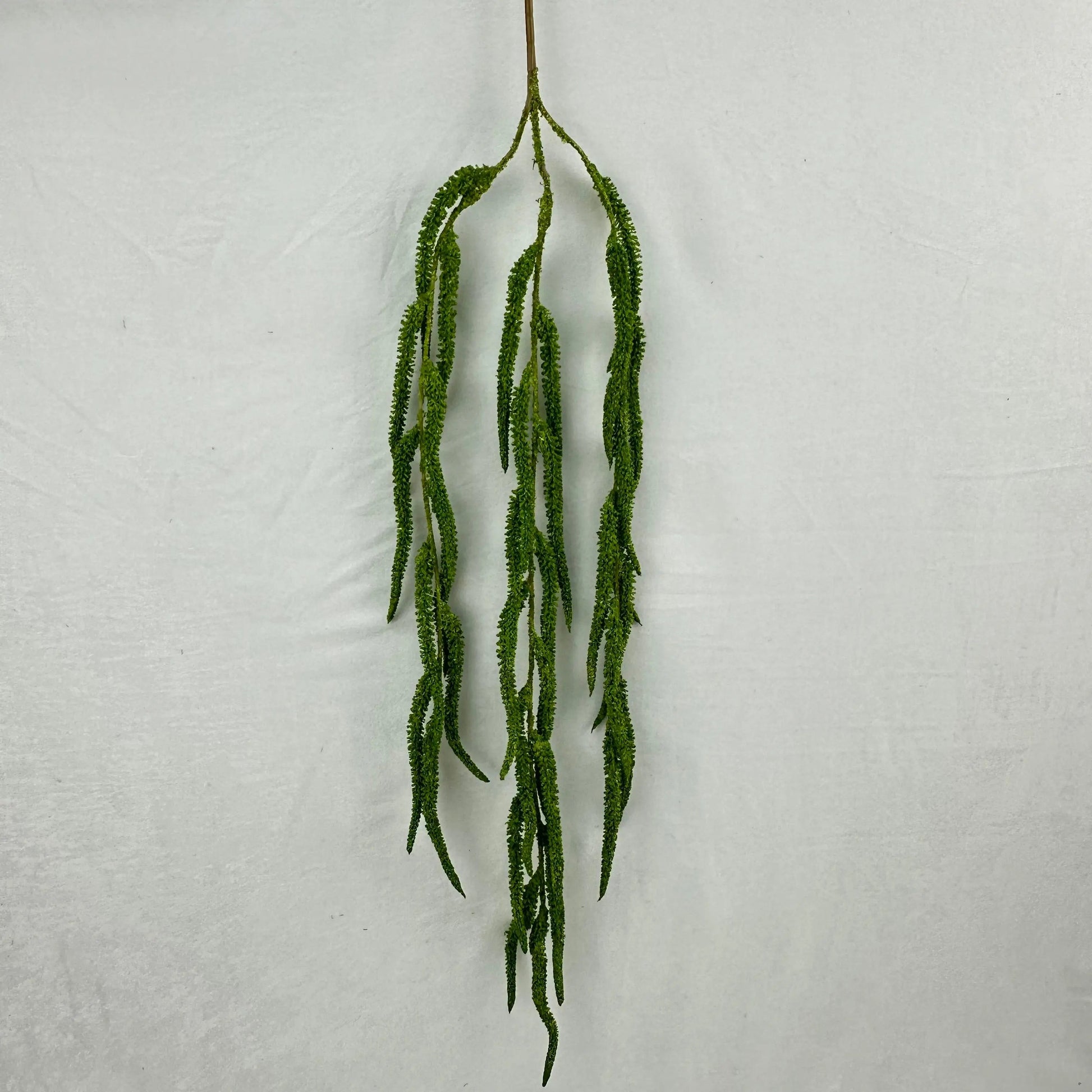 Green Silk Amaranthus Stem RosesHQ.com