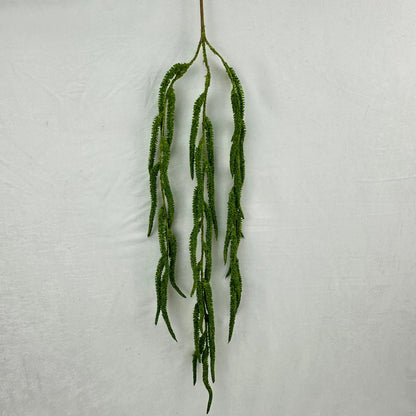 Green Silk Amaranthus Stem RosesHQ.com