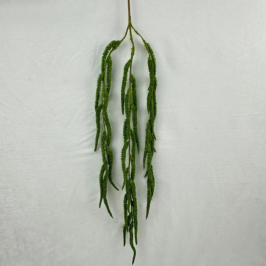Green Silk Amaranthus Stem RosesHQ.com