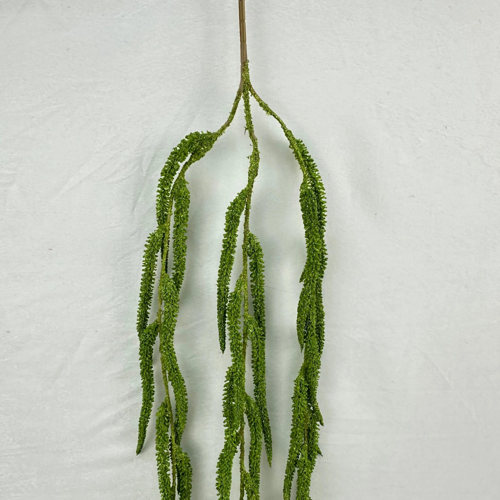 Green Silk Amaranthus Stem RosesHQ.com