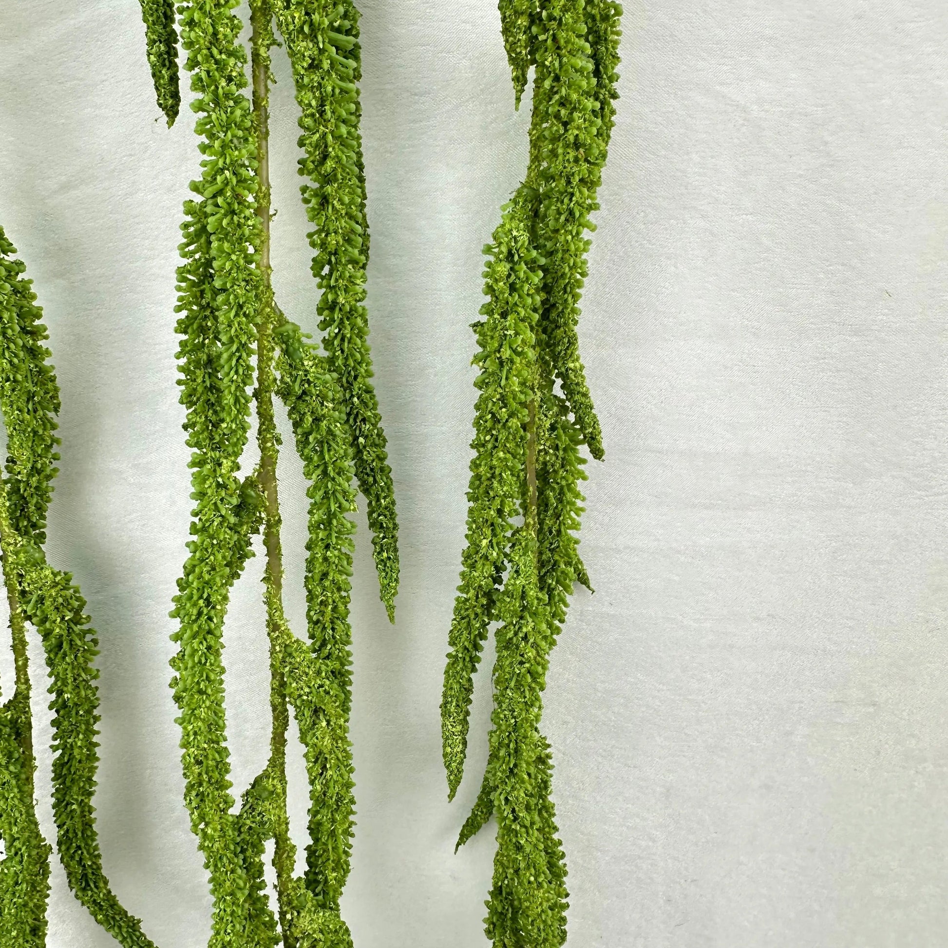 Green Silk Amaranthus Stem RosesHQ.com
