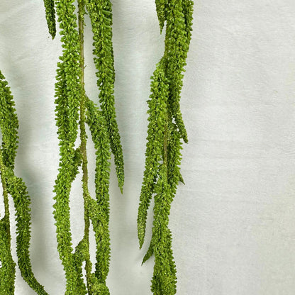 Green Silk Amaranthus Stem RosesHQ.com